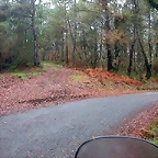 DSCN5381