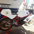 DSCN5593