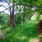 DSCN5205