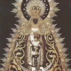 fotovnchipiona