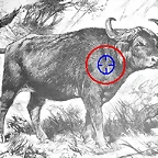 African_Buffalo_Drawing_historic