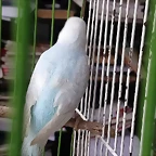 IMG-20190317-WA0000