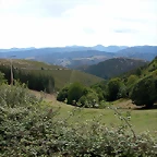 DSCN3146
