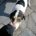 DSCN7783