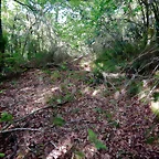 DSCN2096