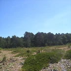 P1010102