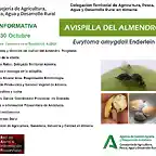 avispilla