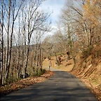 DSCN0098