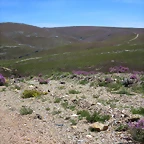 085-Imagen 091