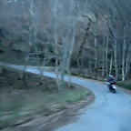 DSCN2391