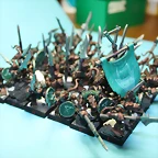 IMG_0816