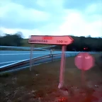 DSCN9701