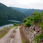 DSCN6286