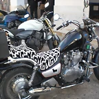 CIMG9588