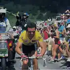 TDF-1986