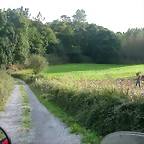 DSCN5259
