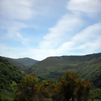 DSCN5020