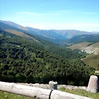 DSCN8524