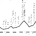 Gavia 60