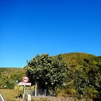 DSCN7830