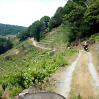 DSCN3392