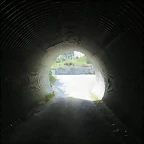 26-IMG_2202