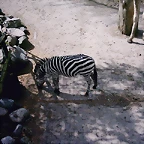 PIC03350