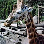 PIC03359