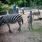 PIC03369