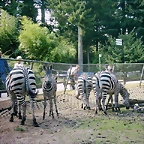 PIC03372