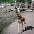 PIC03352