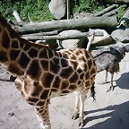 PIC03360