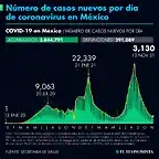 casos_acumulados_covid_19_131121.png_990121245