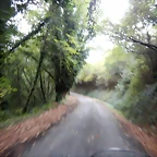 DSCN8438
