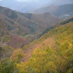 DSCN0797