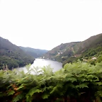 DSCN3545
