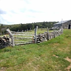 DSCN7040