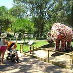 P7160331