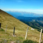 DSCN8442