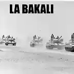 Bakali 1