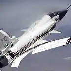 Gruman X-29 en vuelo de prueba en 1984
