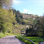 DSCN8657