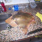 pesca puntapiedra 007