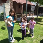 varios mes 11-2010 034