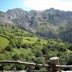 DSCN3868