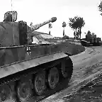 SS-Tiger-101-01 221