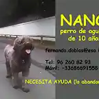 NANO 10 copia