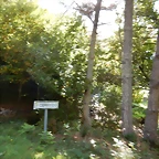 DSCN8667