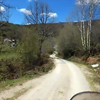 DSCN9547