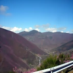 DSCN3946